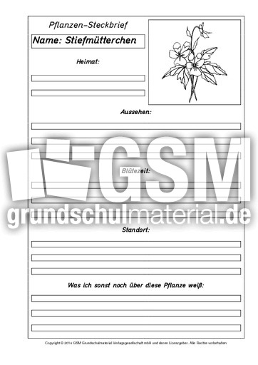 Pflanzensteckbriefvorlage-Stiefmütterchen-SW.pdf